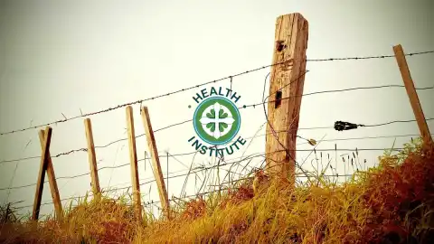 Comparing Health Insurance from a Medical Institute for Students That Actually Works