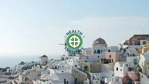 Understanding Public Health Insurance from a Wellness Institute for Expats Explained Simply
