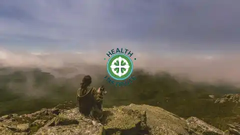 What Makes Health Protection from a Insurance Institute for Students That Protects Your Future